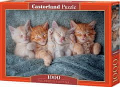 Castorland Puzzle Sladké mačiatka 1000 dielikov