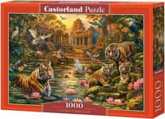 Castorland Puzzle Tigrie raj 1000 dielikov