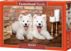 Castorland Puzzle Šteňatá samojeda 1000 dielikov