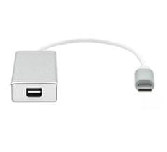 ProXtend adaptér/redukcia USB-C na Mini DP strieborná, 20cm