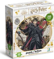 Dodo Toys Puzzle Harry Potter: Mladý kúzelník 250 dielikov