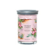Yankee Candle Aromatická sviečka Signature tumbler veľký Desert Blooms 567 g