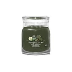 Yankee Candle Aromatická sviečka Signature sklo stredná Silver Sage & Pine 368 g