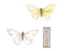 LAALU Sada 6 dekorácií: motýli bielo-žltá zmes 10 cm