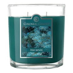 Colonial Candle Sviečka dekoratívna váza , Modrý smrek, 269 g
