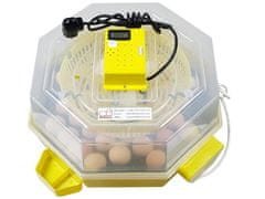 BRAVSON Automatická liaheň na vajcia CLEO 5 DTH AUTOMATIC