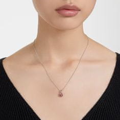 Swarovski Slušivý náhrdelník pre ženy narodené v januári Birthstone 5651709