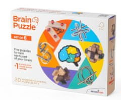 Recent Toys Brain Puzzle - sada 6 kusů