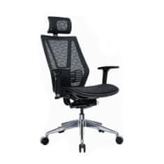 Dalenor Ergonomická kancelárska stolička Tech Line, sieťovina, čierna