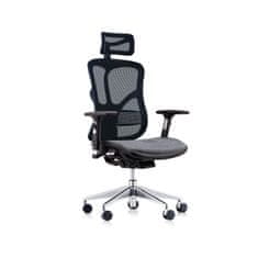 Dalenor Ergonomická kancelárska stolička Tech Style, sieťovina, čierna