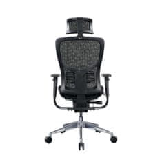 Dalenor Ergonomická kancelárska stolička Tech Pro, sieťovina, čierna