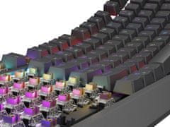 Genesis herná klávesnica THOR 230/TKL/RGB/Outemu Brown/Drôtová USB/US layout/Čierna