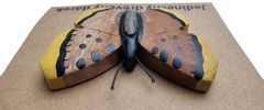Dvěděti Dvedeti Drevená magnetka veľká Motýľ