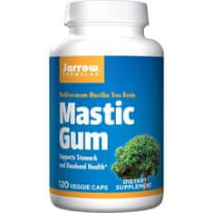 Jarrow Formulas Doplnky stravy Mastic Gum