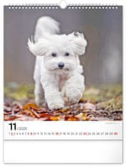 NOTIQUE Nástenný kalendár Psy 2025, 30 x 34 cm