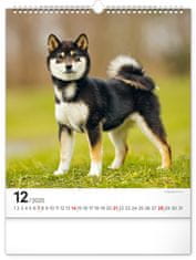 NOTIQUE Nástenný kalendár Psy 2025, 30 x 34 cm