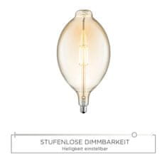 PAUL NEUHAUS Leuchten DIRECT LED Filament, dekoratívne žiarovka, 4W E27 3000K DIM 08452 LD 08452