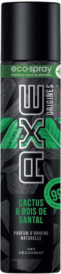 Axe Cactus-sandalwood deodorant 85ml