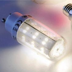 PAUL NEUHAUS Leuchten DIRECT LED žiarovka tvar rúrky pätice GU10, 4W 3000K LD 08157