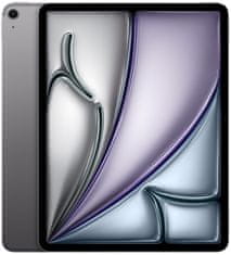 Apple iPad Air Wi-Fi + Cellular, 13" 2024, 256GB, Space Gray (MV6V3HC/A)
