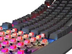Genesis herná klávesnica THOR 230/TKL/RGB/Outemu Red/Bezdrôtová USB + Bluetooth/US layout/Čierna