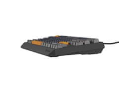 Genesis herná klávesnica THOR 230/TKL/RGB/Outemu Panda/Drôtová USB/US layout/Naval Blue Positive