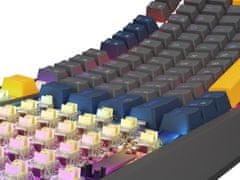 Genesis herná klávesnica THOR 230/TKL/RGB/Outemu Panda/Drôtová USB/US layout/Naval Blue Negative