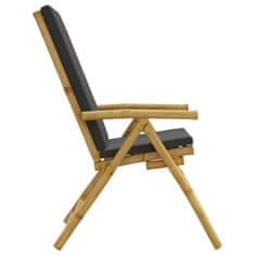 Petromila vidaXL Bistro skladacie stoličky 2 ks tmavosivé vankúše bambus