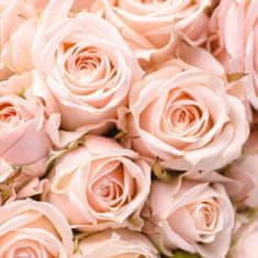 MAMI MILANO Rose in Fiore - Ruža v Rozkvete, Luxusný kvetinový difuzér, 200ml