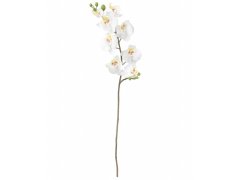 IKEA Umelá kvetina Orchidea biela 60 cm