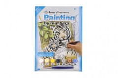SMT Creatoys Malování podle čísel Bílí tygři 22x30cm s akrylovými barvami a štětcem na kartě