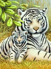 SMT Creatoys Malování podle čísel Bílí tygři 22x30cm s akrylovými barvami a štětcem na kartě