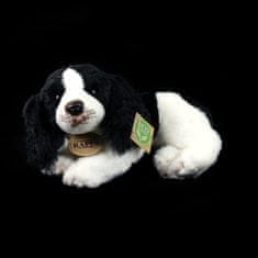 Rappa Plyšový pes kokeršpaniel ležiaci 24 cm ECO-FRIENDLY