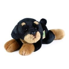 Rappa Plyšový pes rotvajler ležiaci 30 cm ECO-FRIENDLY