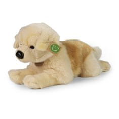 Rappa Plyšový pes Zlatý Retriever ležiaci 39 cm ECO-FRIENDLY