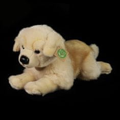 Rappa Plyšový pes Zlatý Retriever ležiaci 39 cm ECO-FRIENDLY