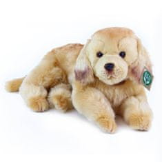 Rappa Plyšový pes zlatý retriever ležiace 32 cm ECO-FRIENDLY