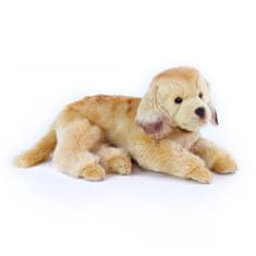 Rappa Plyšový pes zlatý retriever ležiace 32 cm ECO-FRIENDLY