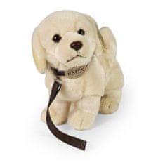 Rappa Plyšový pes zlatý retriever stojaci s vodítkom 25 cm ECO-FRIENDLY