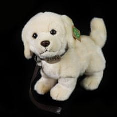 Rappa Plyšový pes zlatý retriever stojaci s vodítkom 25 cm ECO-FRIENDLY