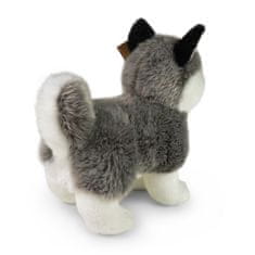 Rappa Plyšový pes husky stojaci 23 cm ECO-FRIENDLY