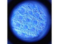 Verk 09071 Vreckový mikroskop 60x / UV / LED