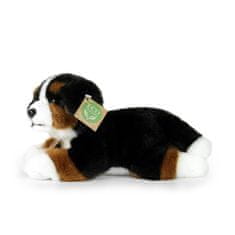 Rappa Plyšový bernský salašnícky pes ležiaci 23 cm ECO-FRIENDLY