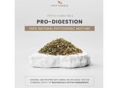 sarcia.eu Phytoseo bylinná zmes PHYTO HORSE 6 - trávenie - 1,4 kg 