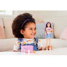 Mattel Bábika Barbie Skipper opatrovateľka s fialovým melírom + bábätko, doplnky