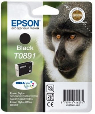 Epson T0891, čierna (C13T08914010)