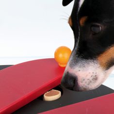 Trixie Dog Activity PUSH AWAY - disk s kolkami