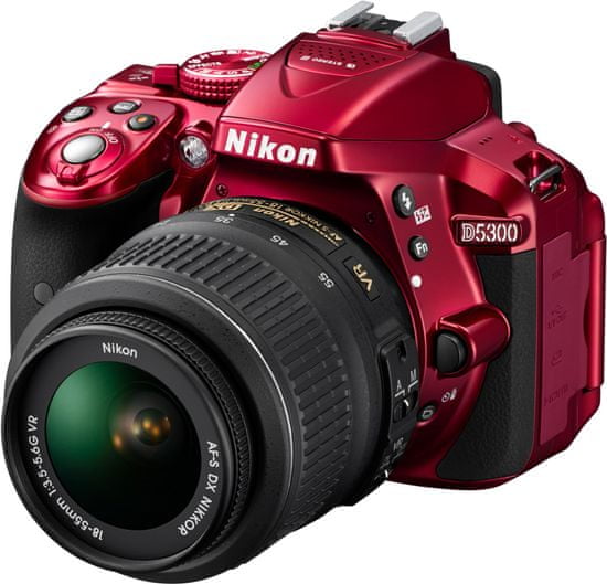 Nikon D5300 + 18-55 AF-P VR