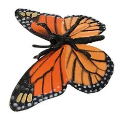 Safari Ltd. Životný cyklus - Motýľ