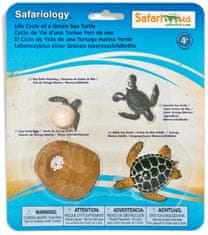 Safari Ltd. Životný cyklus - Morská korytnačka